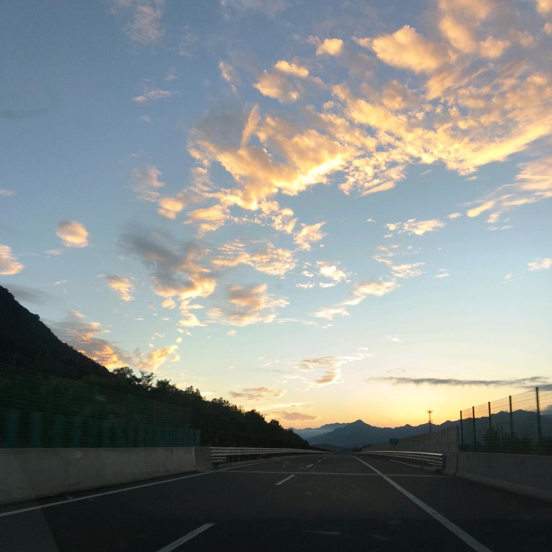 楠哥