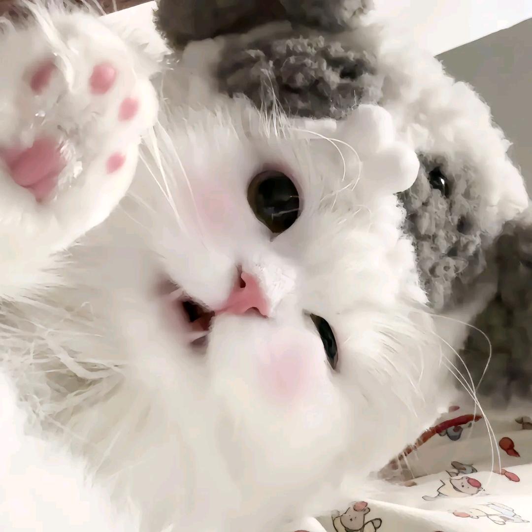 觉觉