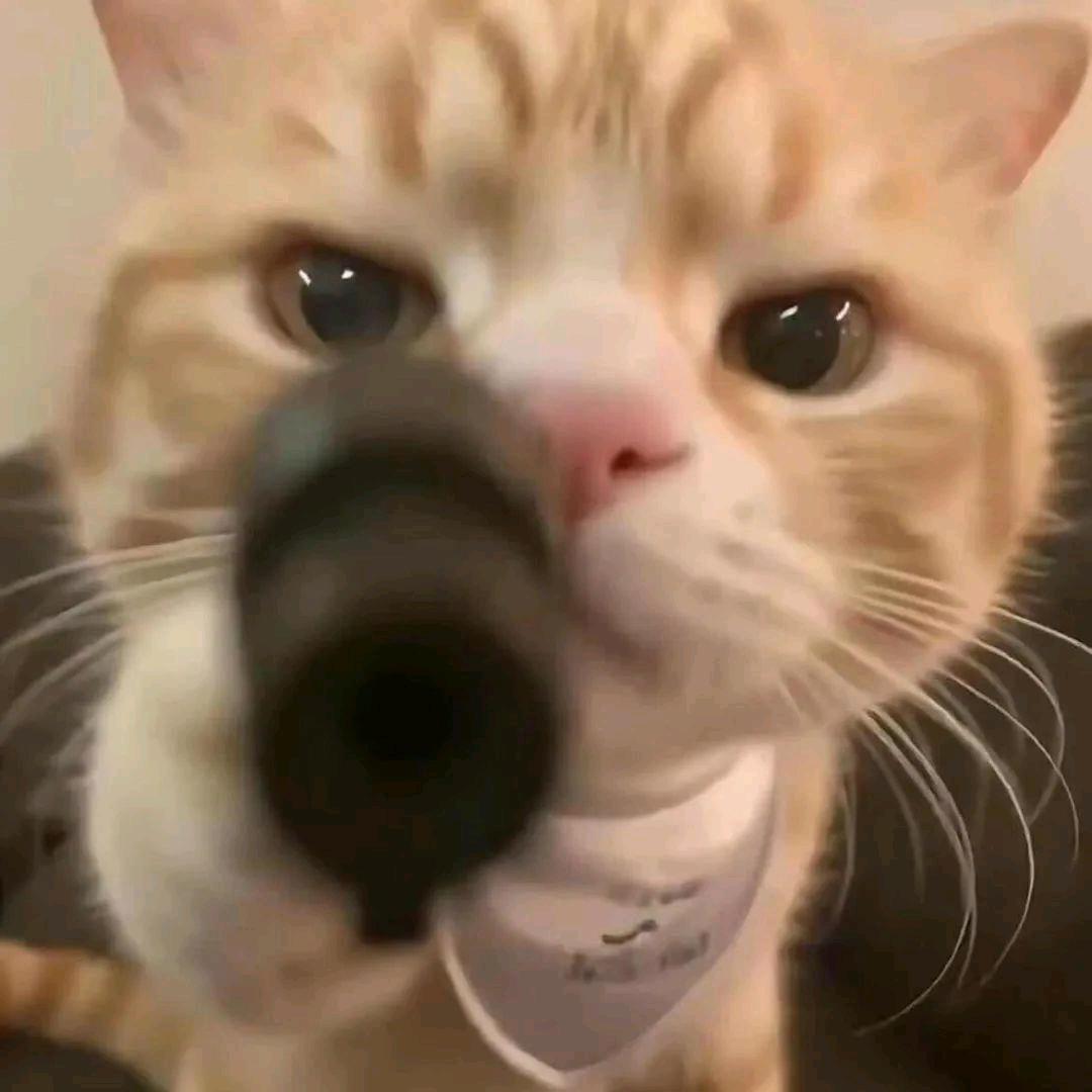 瞬云