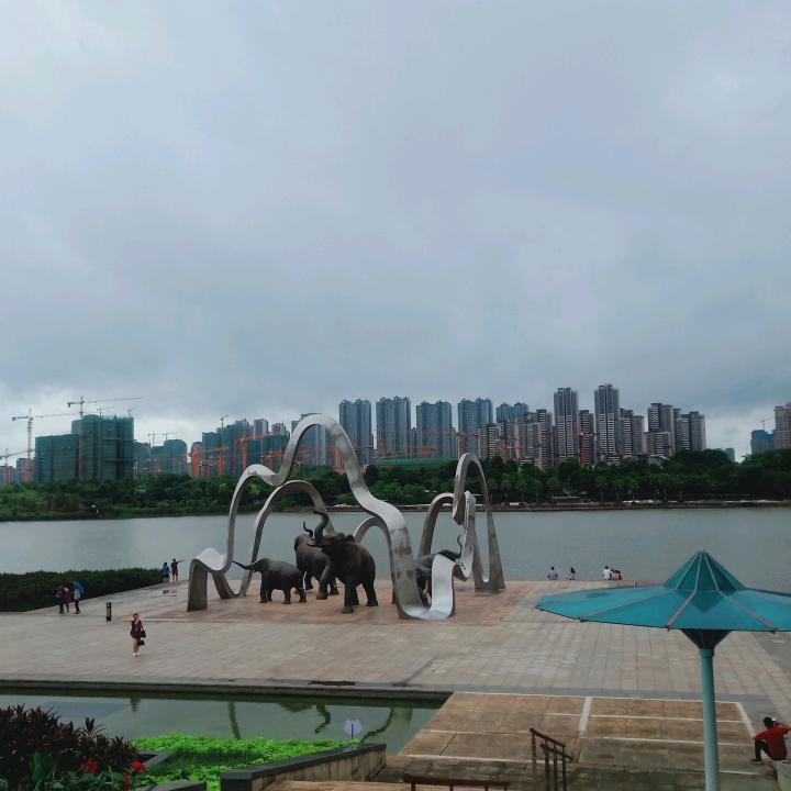 墨染霜华