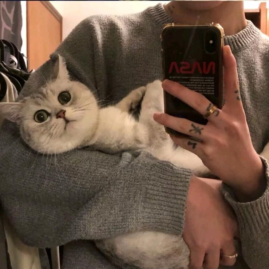 -加菲猫.♛