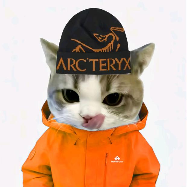 采红帽的小蘑菇