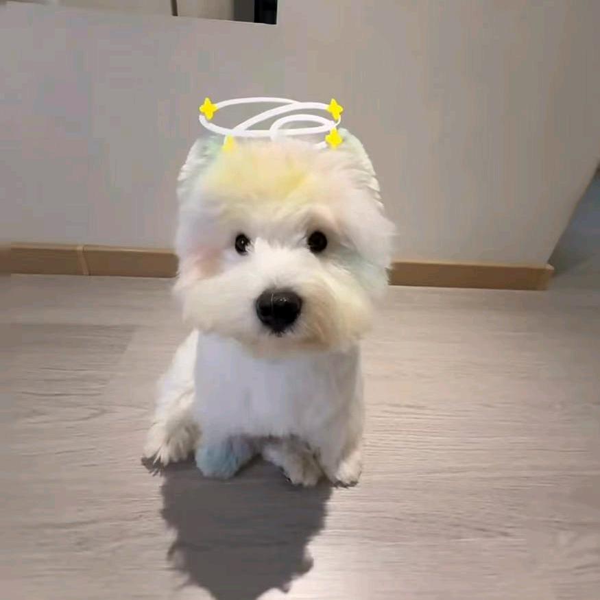 飞上太空
