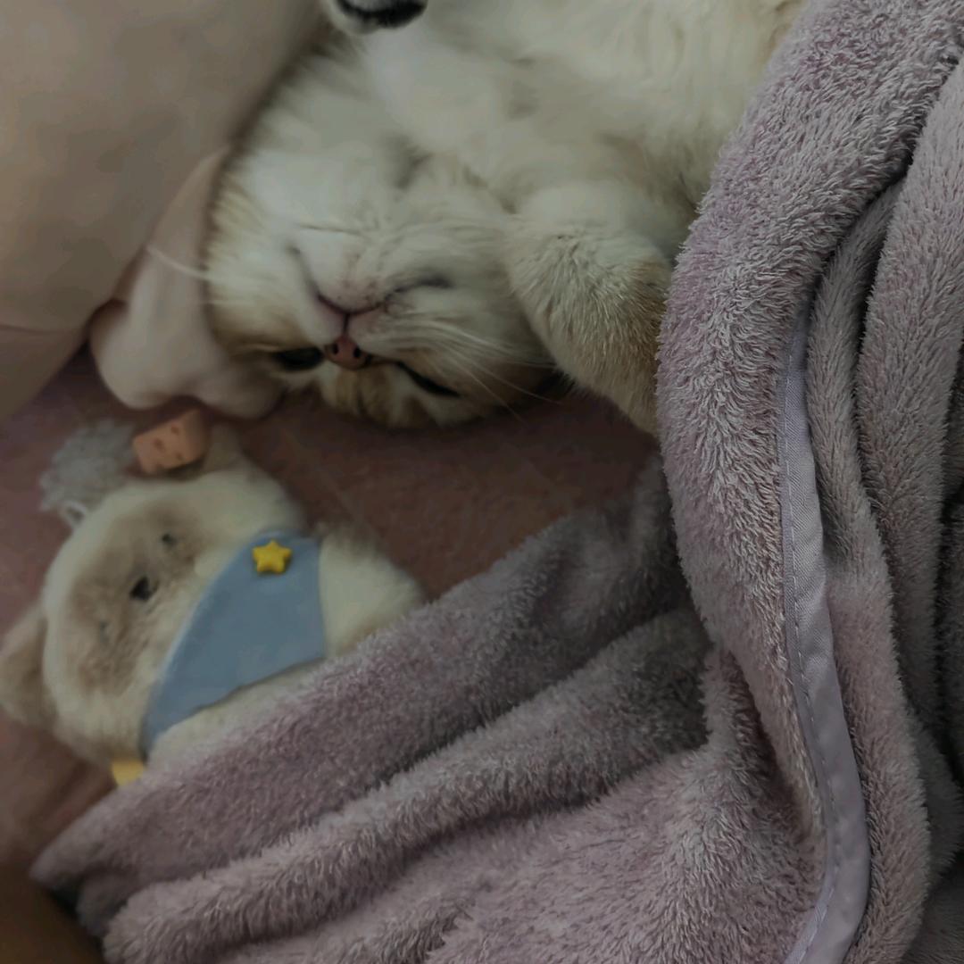 不想等（进藏完成）