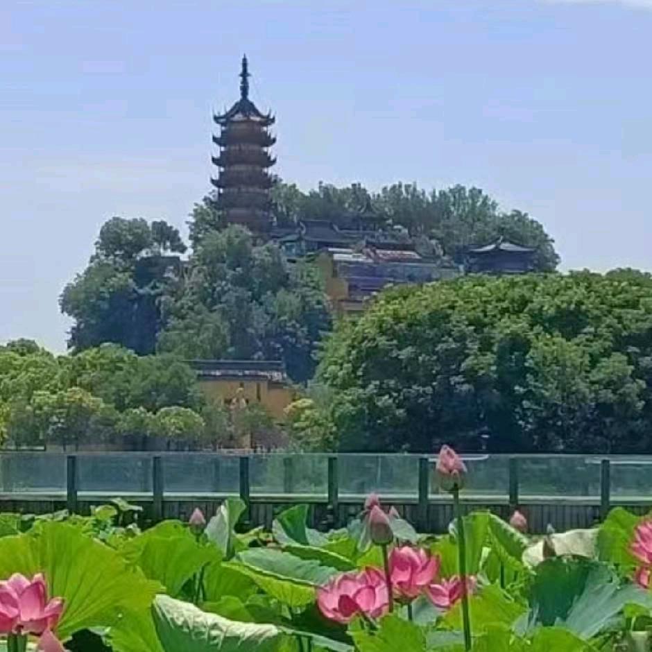 从新开始🔥🔥