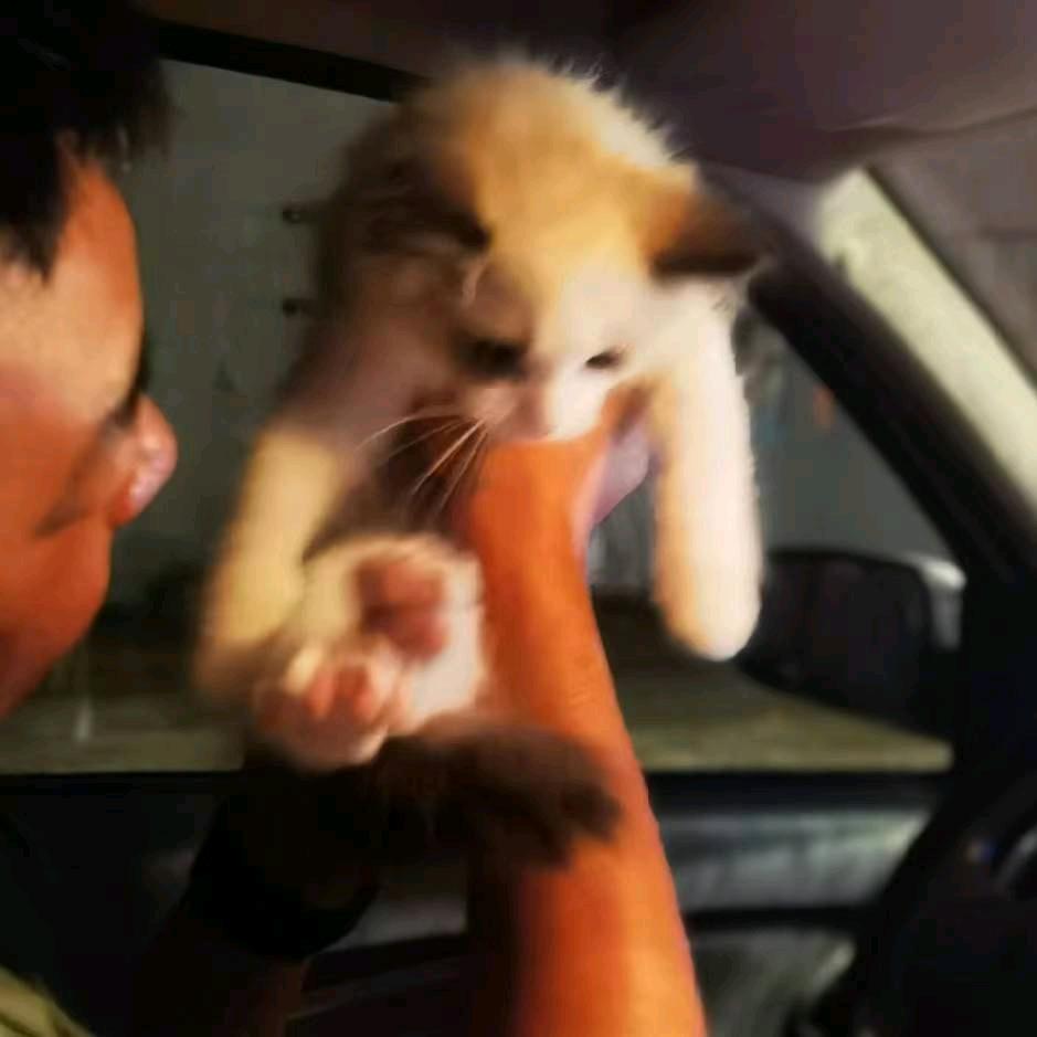 不过尔尔