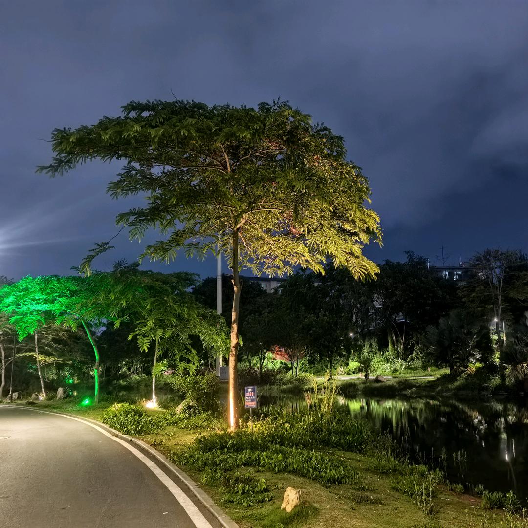 老逃不爱跑步🏃🏻♂️