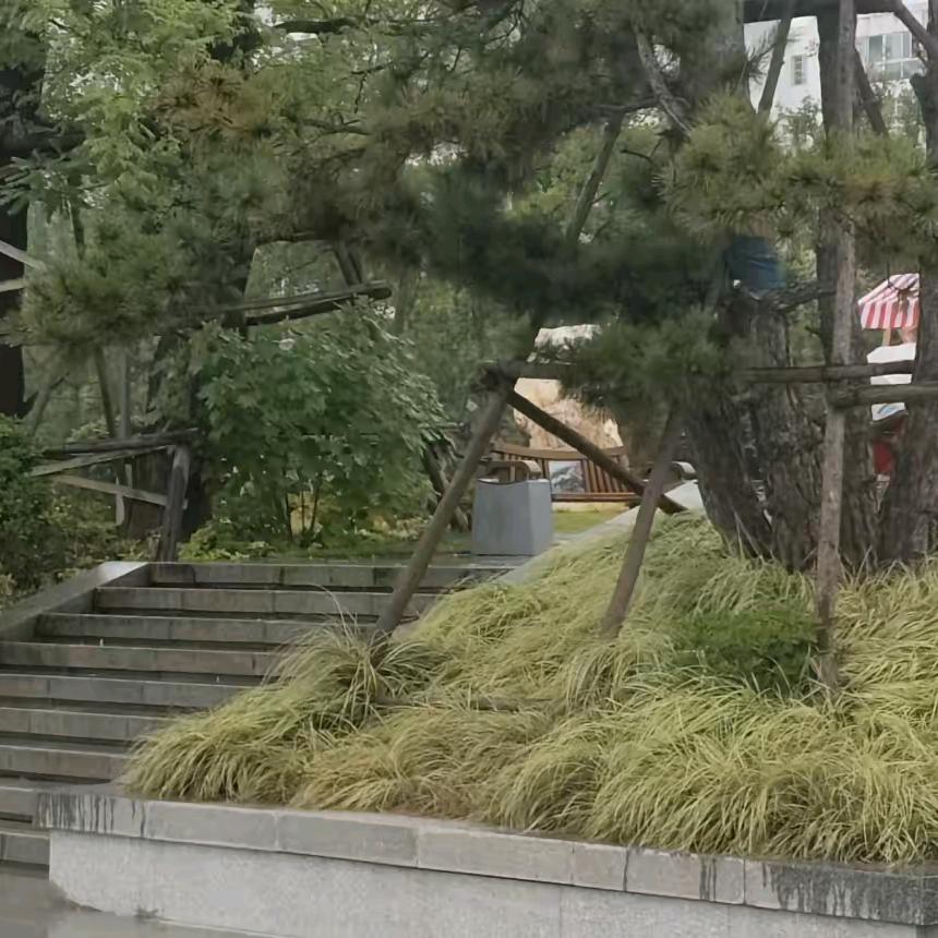 静静聊生活