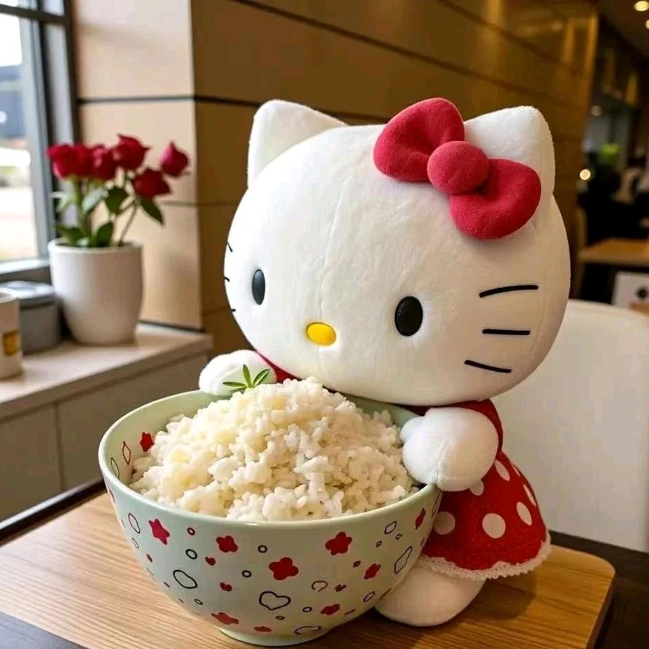 是🍚大王哦（减脂版）