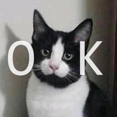 明月别时头像