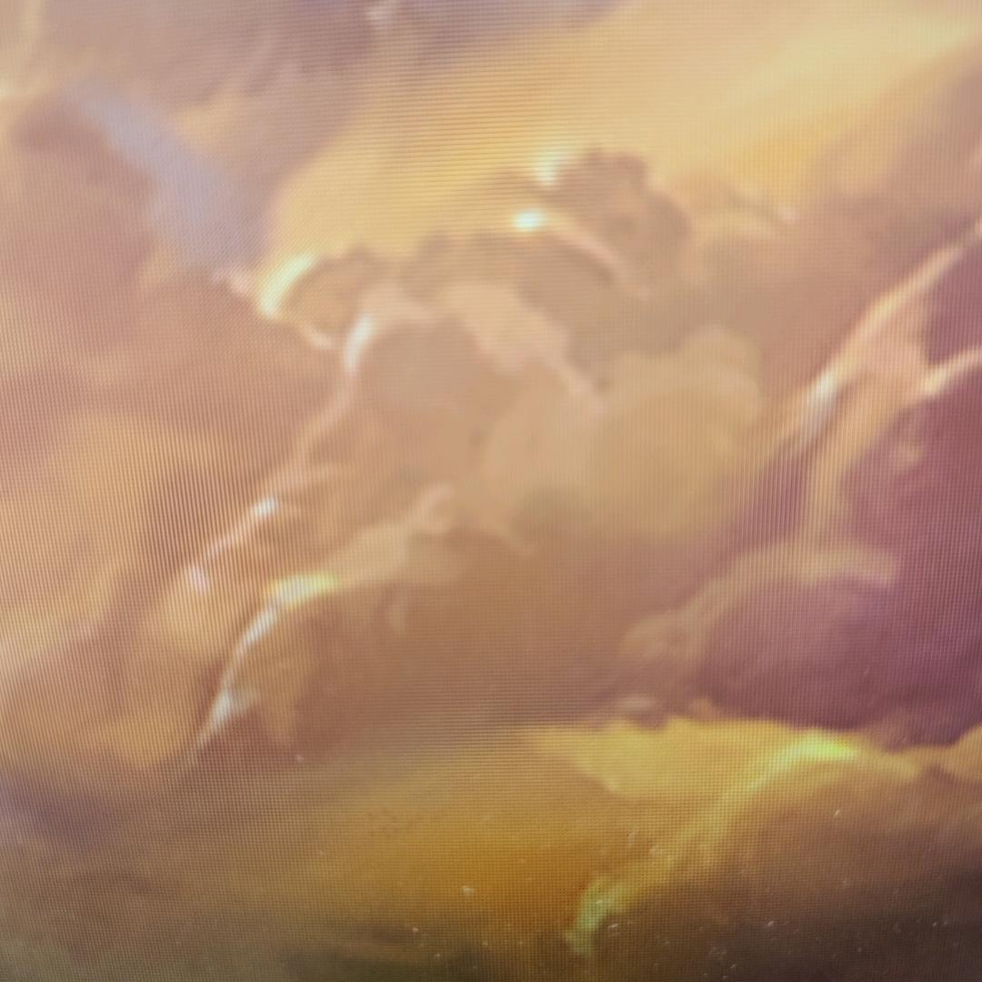 用户7259268358316