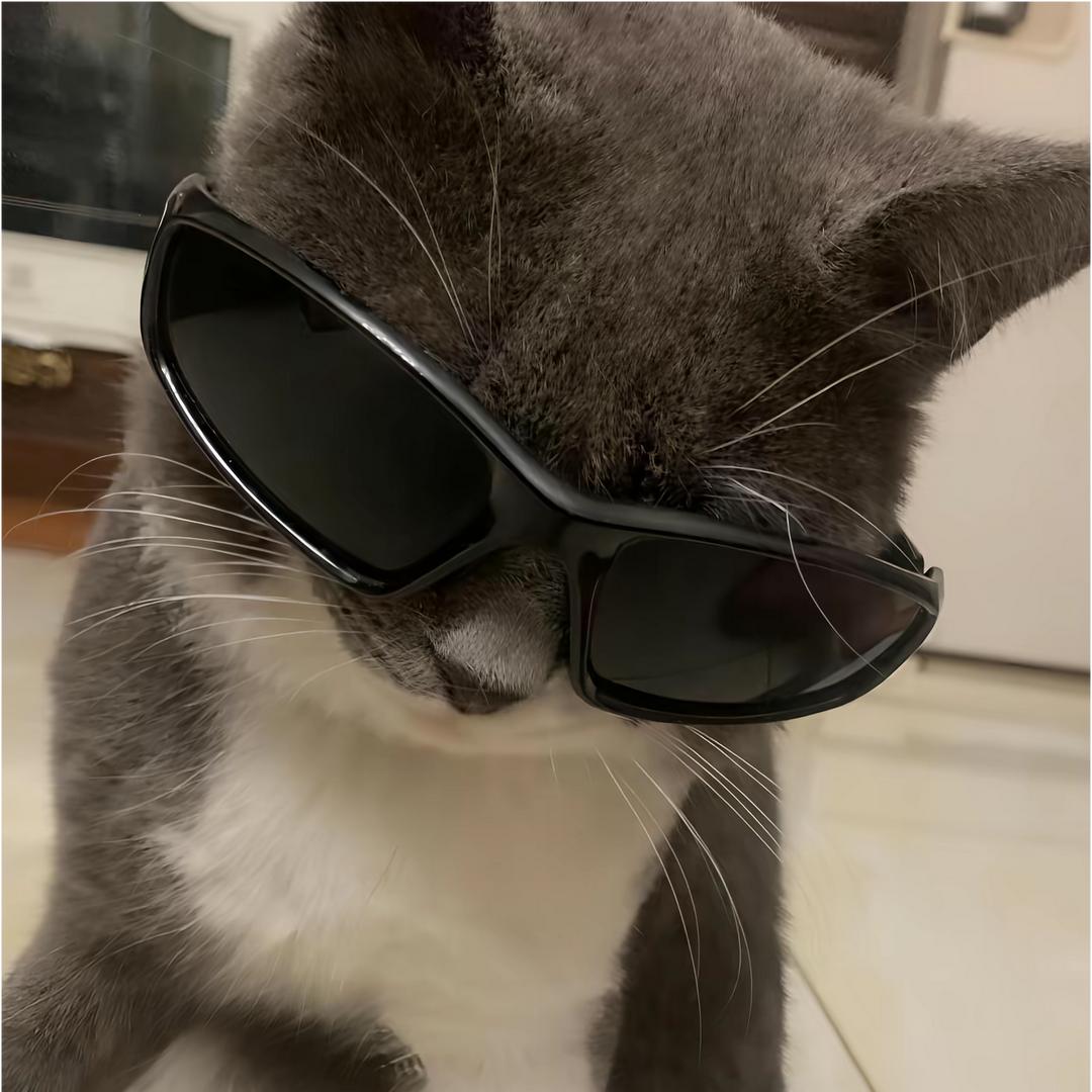 我不明[白]˃ʍ˂