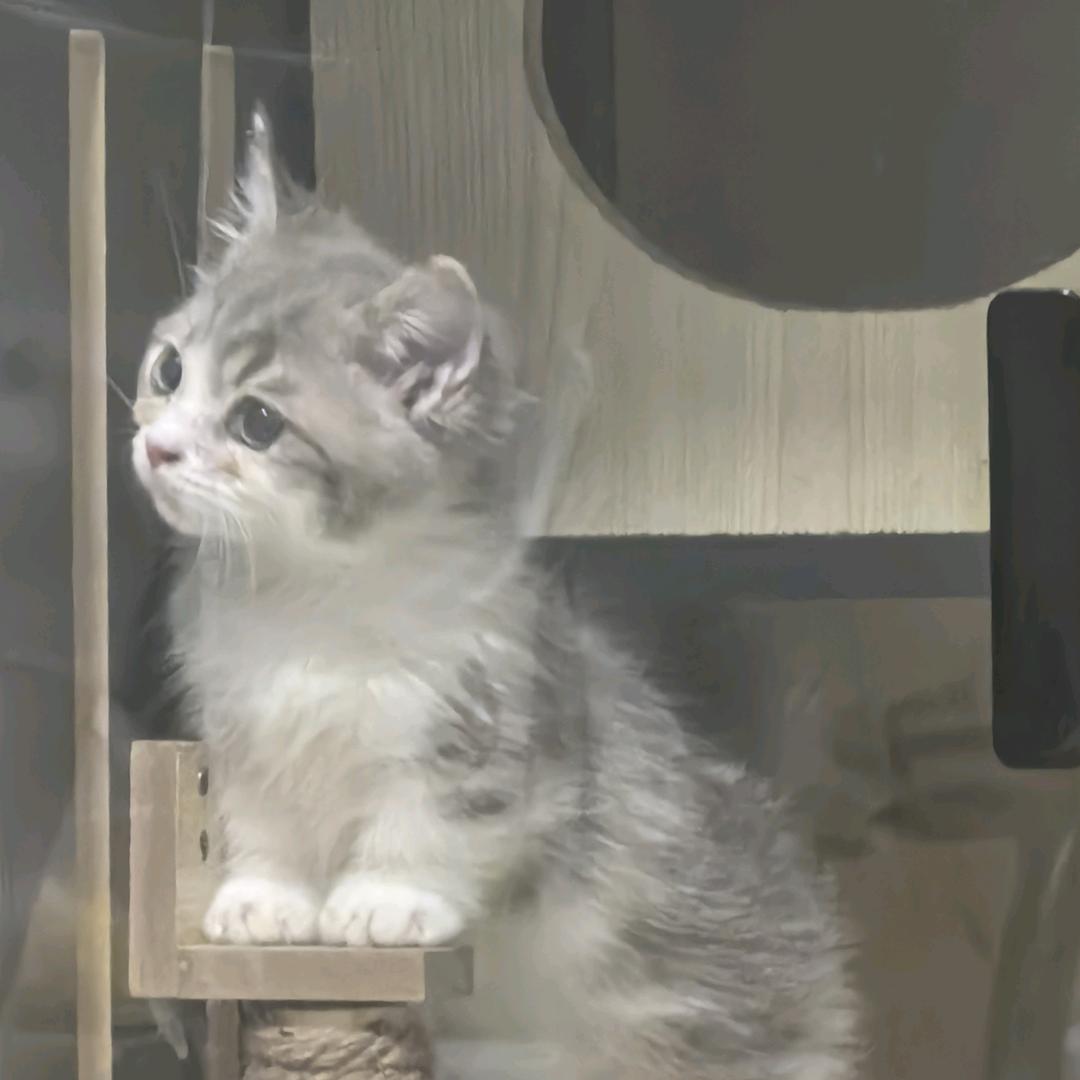 十一果冻（身体健康天天开心版）