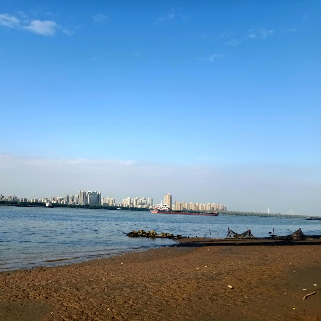 蒹葭（关必回）头像