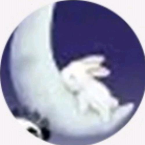 雁过留声