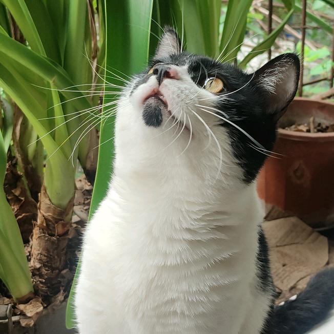 励迈雨禾江老师