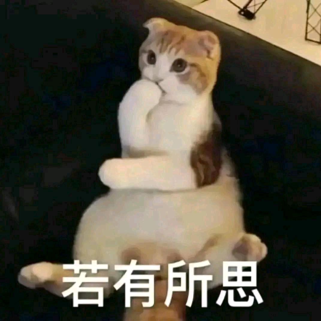 小鹿乱撞🦌