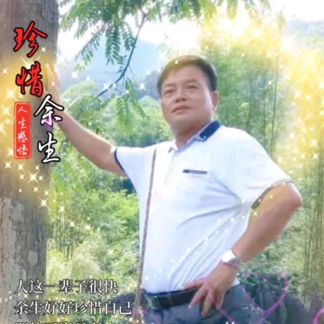 情深几许