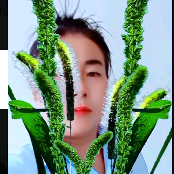 陈姐幸福一生