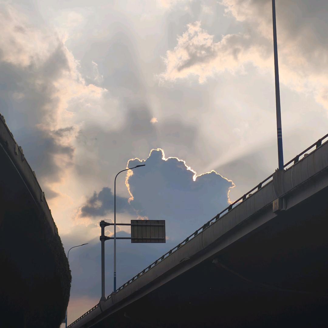 捕捉一只小甜瓜🤨