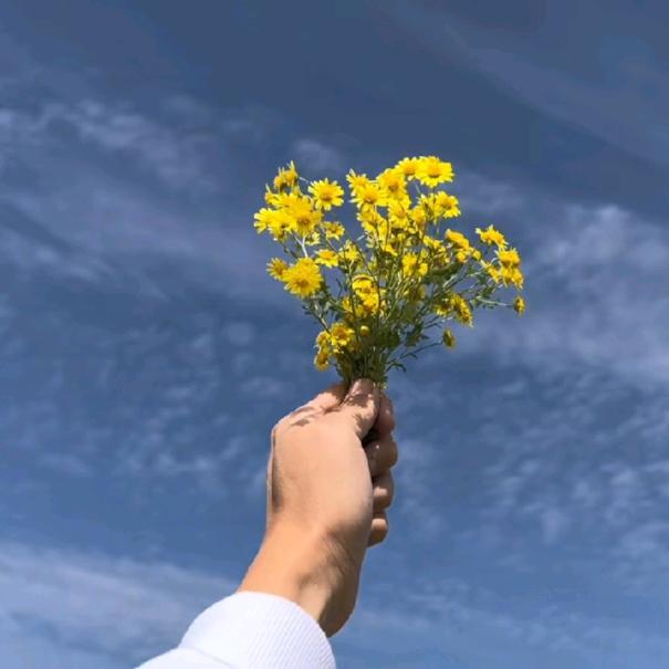 晴空🍀