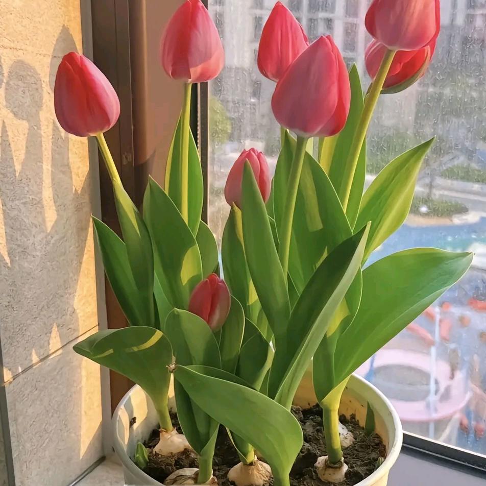 简单的过👨‍👩‍👦