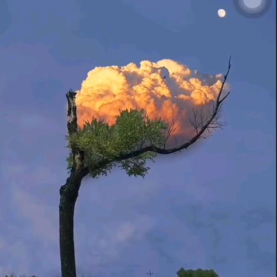 @@୧往事⍤⃝随风