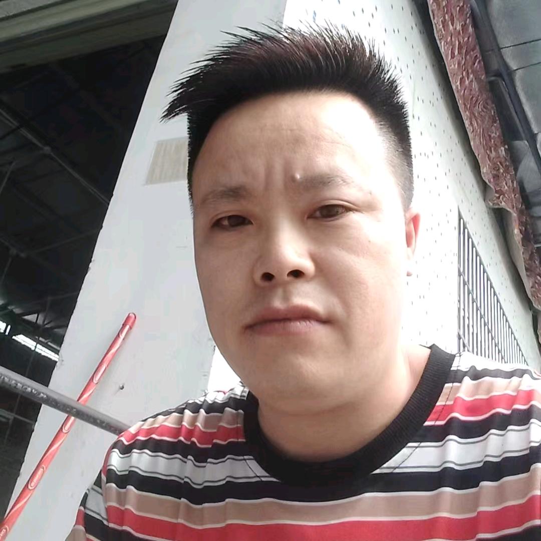 丢了幸福的猪