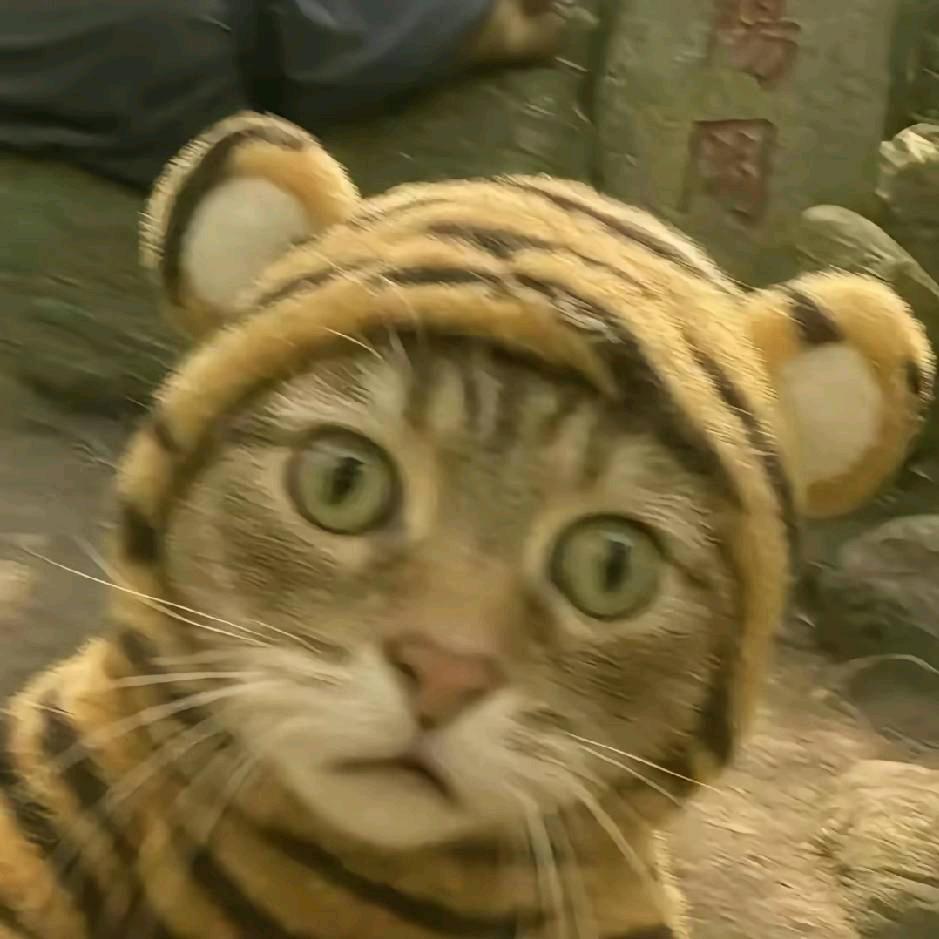 超级无敌暴龙战士