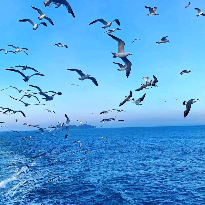 @一只小嘻宝🍎