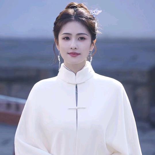 漫天风雪送一人