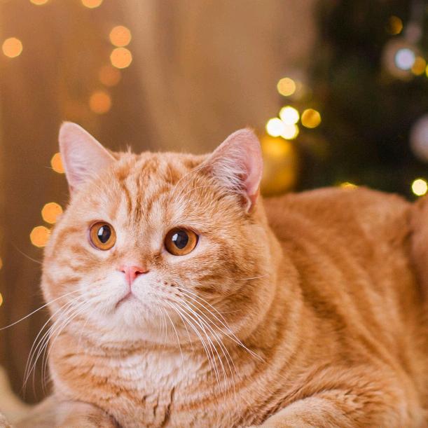 애댜겨ㅛㅗㄴㄴ