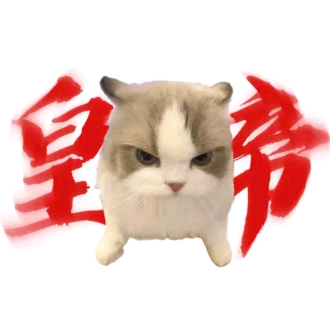 心动
