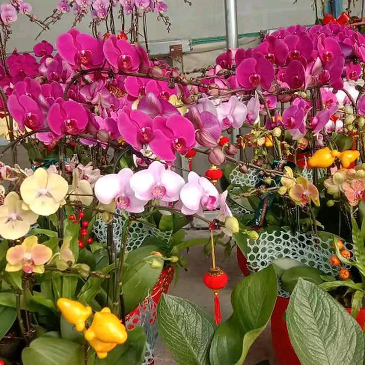 延荣爱养花也爱运动