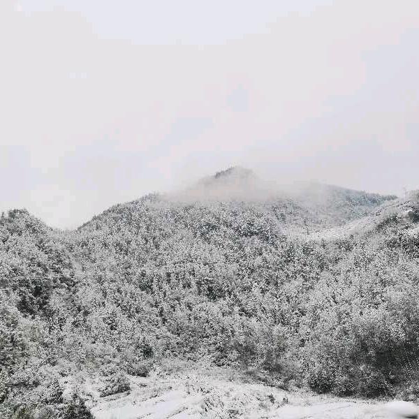 🍀相惜定不离🌸🌹🌻