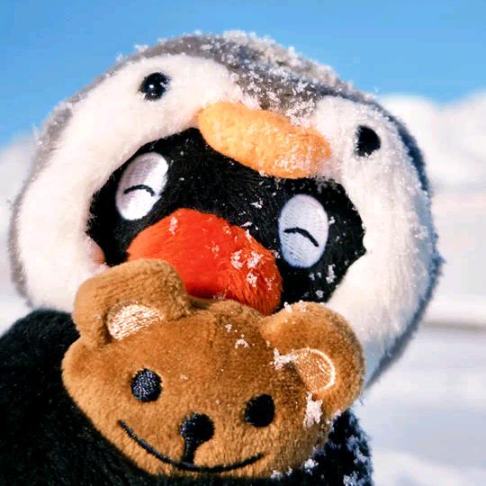 pingu⚝.