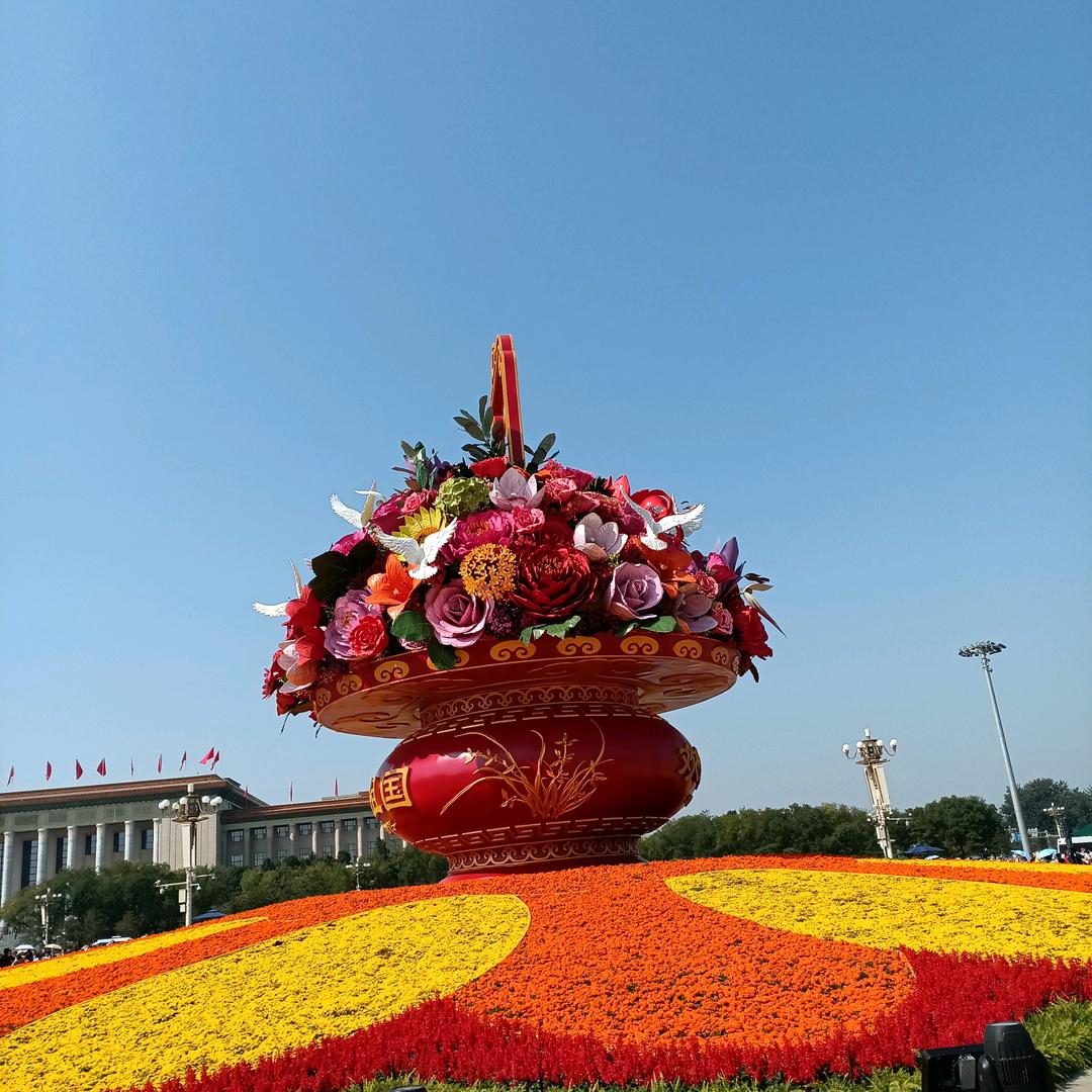 董女士