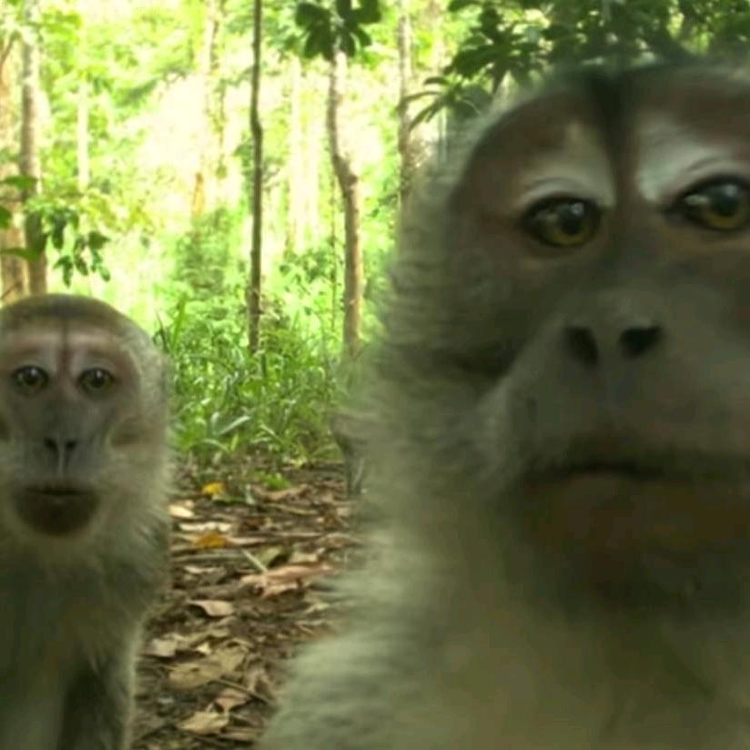 看见我请让我学习