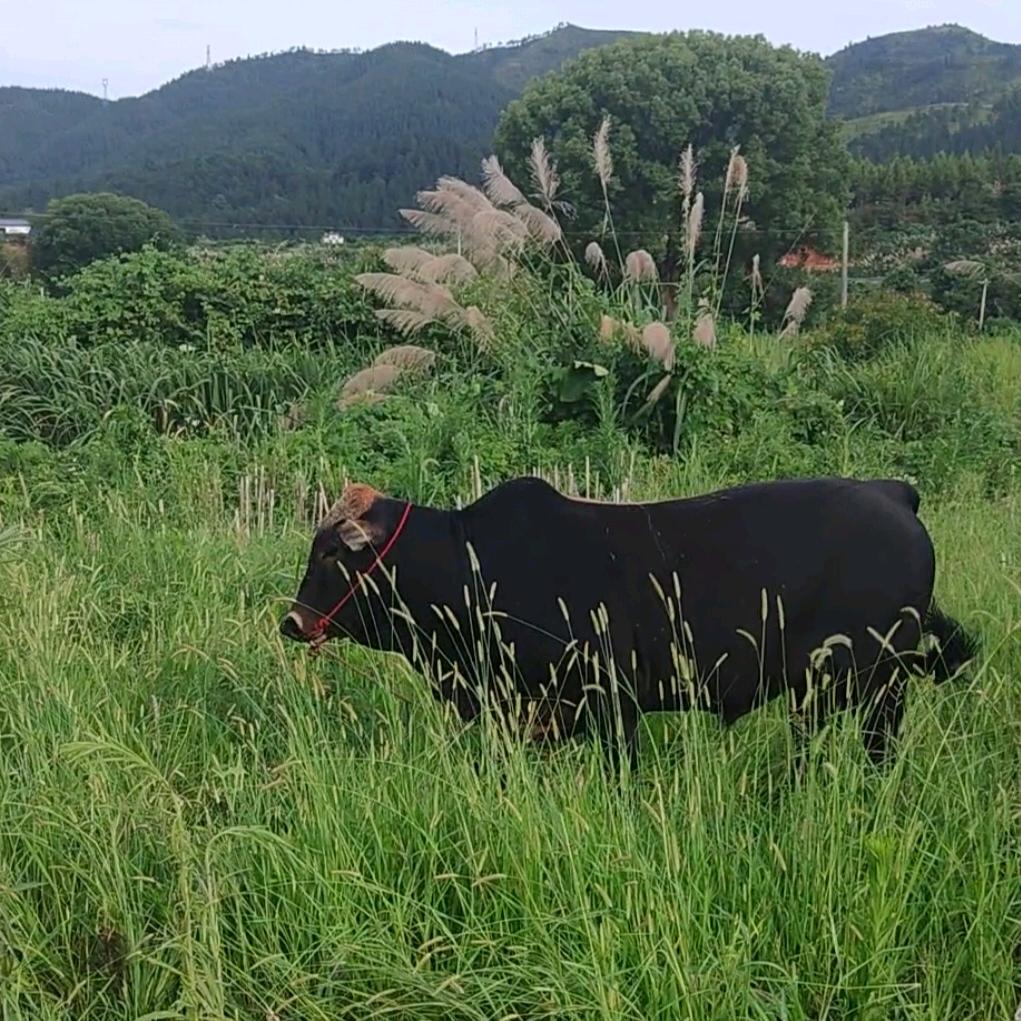 鲜达客优品小铺