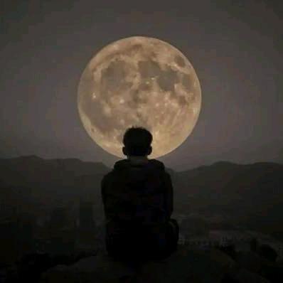 苏州别  爱尽绝