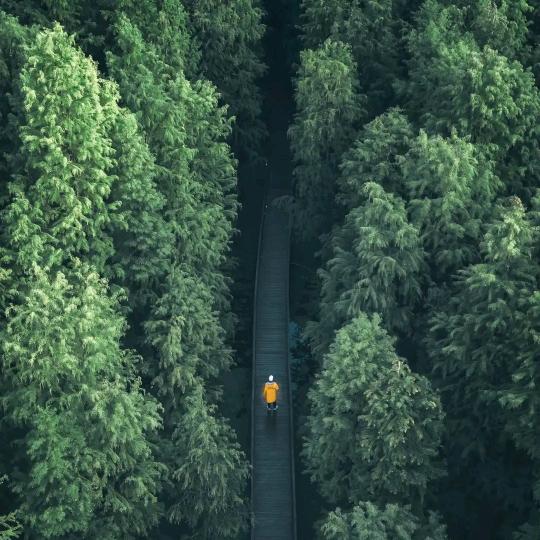 এ᭄ོ燕ꦿృ༊