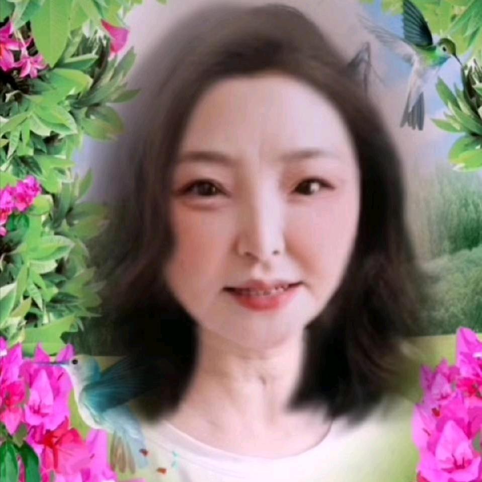 梅子追剧