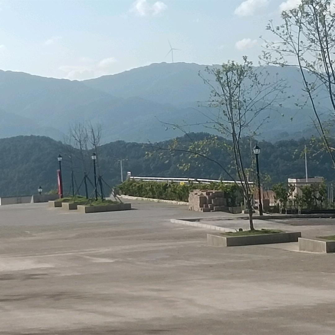 缘层
