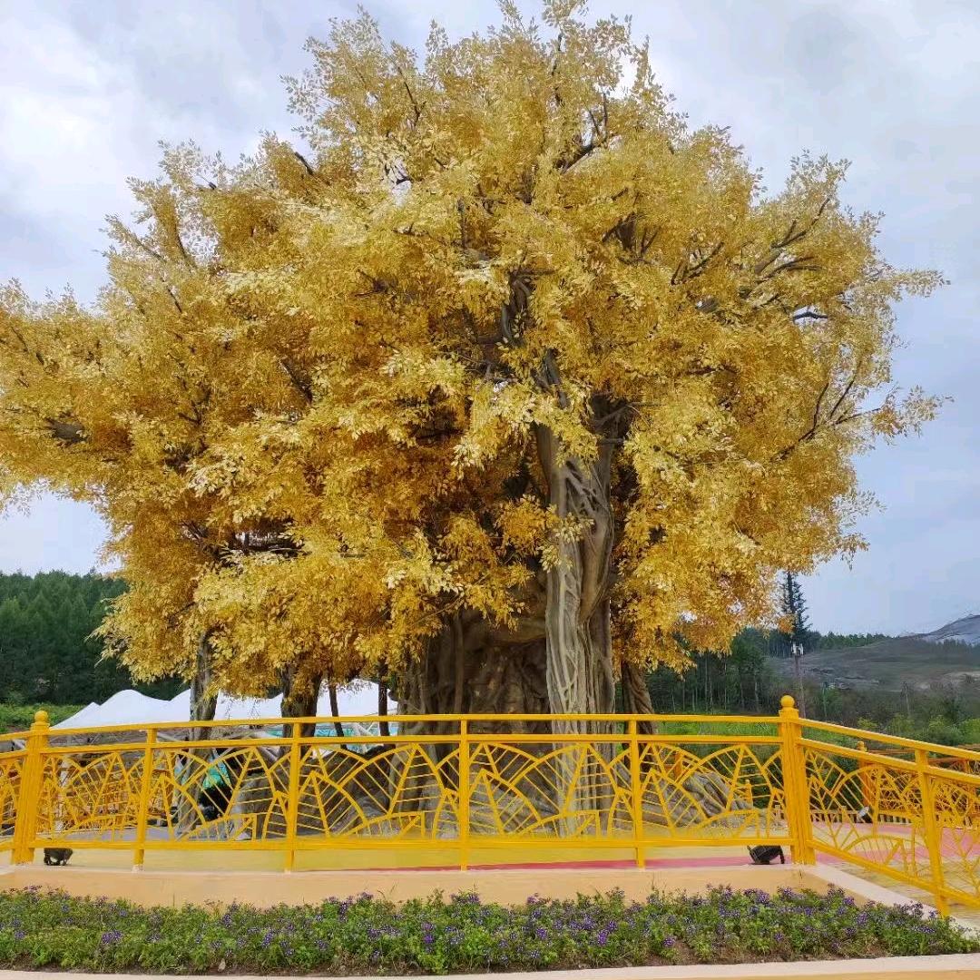 周游你得小世界