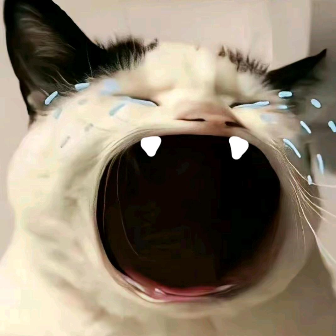 悲伤土拨鼠