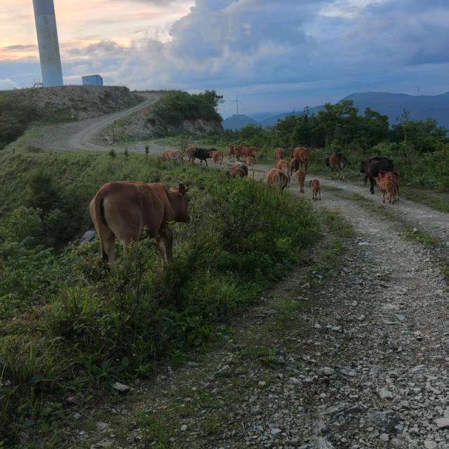 贵州农耕苗点生态农场