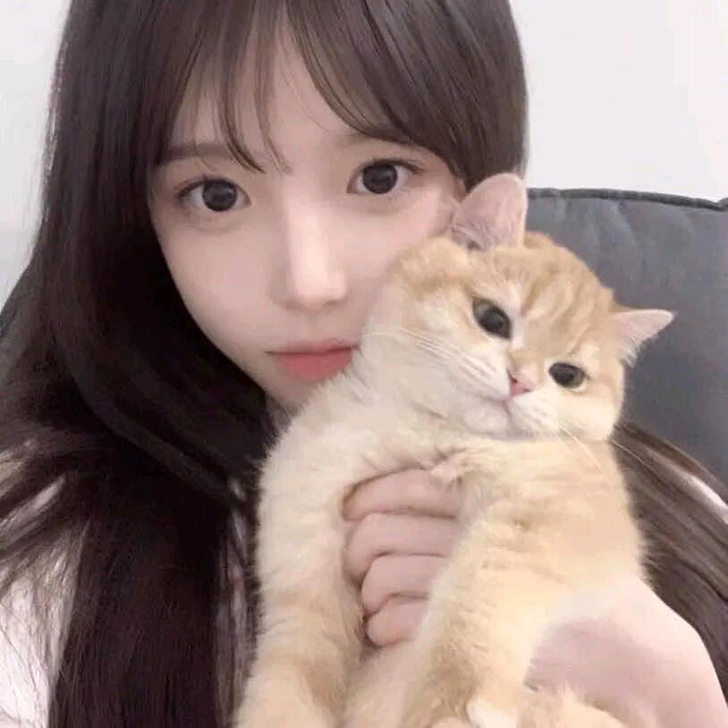 一诺ෆ千金（诺必成）