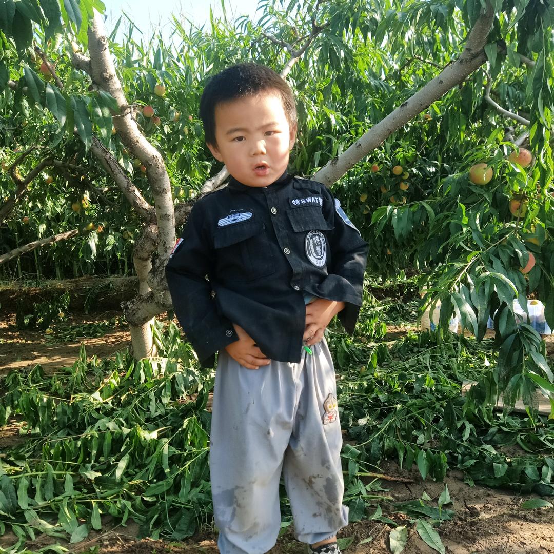多元宇宙狮虎兽小蛮我无敌婊