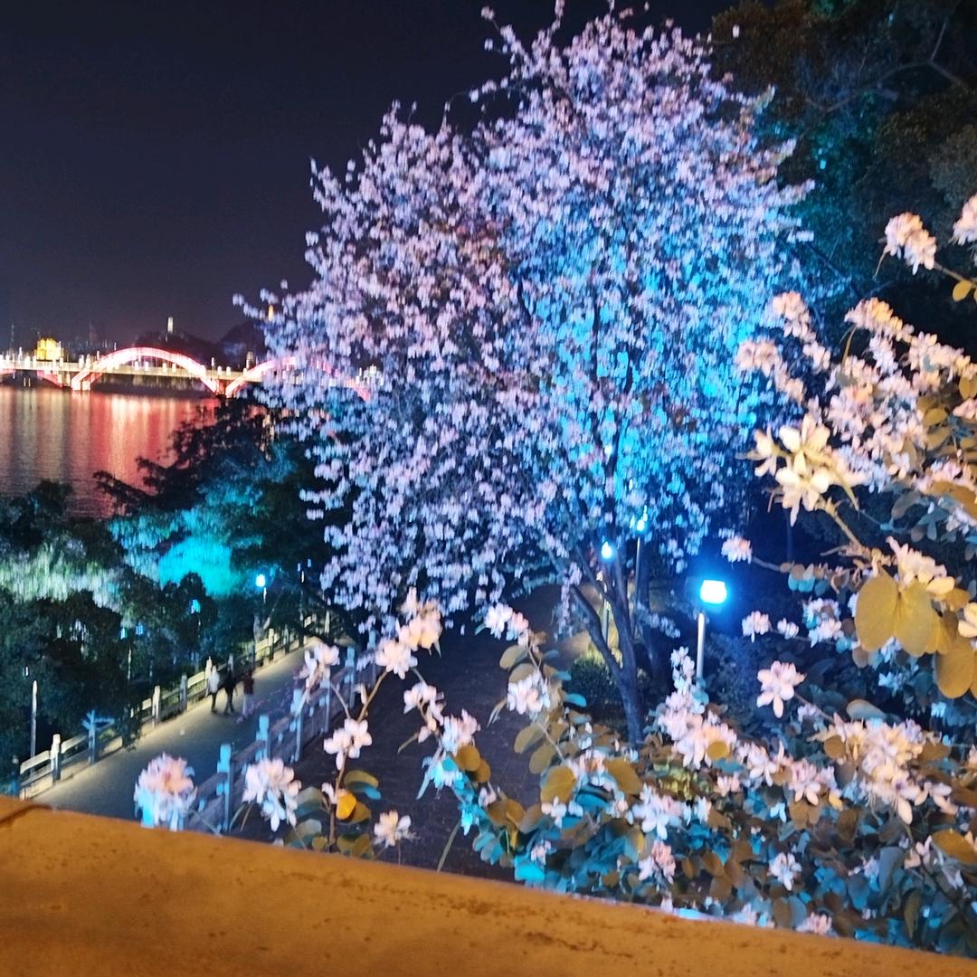 ❤️随遇而安❤️