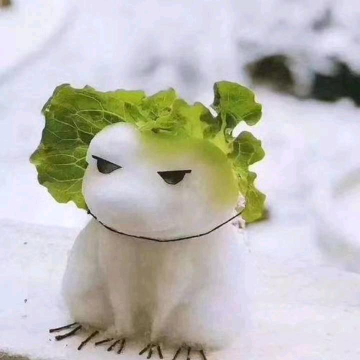 别说为了我